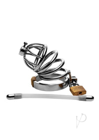 Stainless Steel Chastity Cage with Silicone Urethral Plug