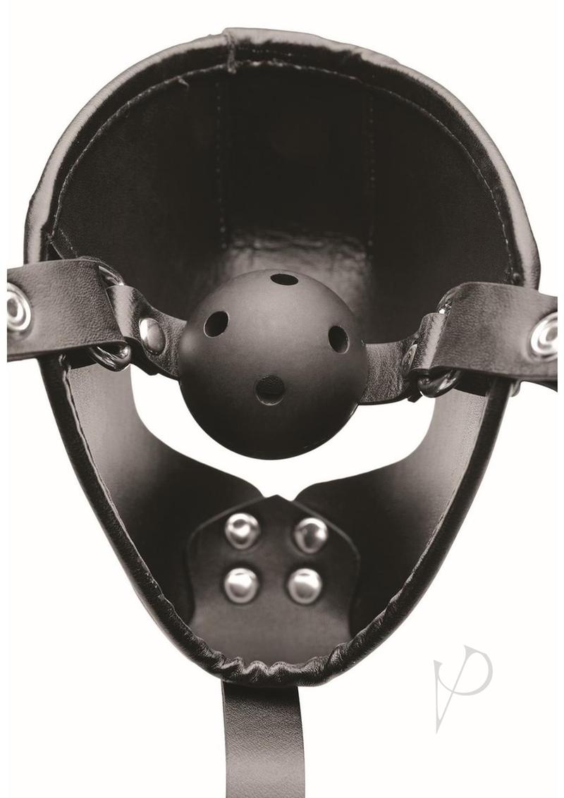 Puppy Play Hood And Breathable Ball Gag