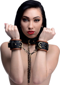 Master Series Coax Collar to Wrist Restraints