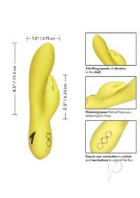 Cali Dreamin Venice Vixen