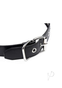 Strict Interchangeable Ball Gag Set