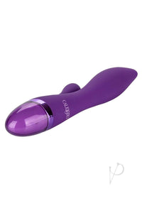 Aura Dual Lover(disc)