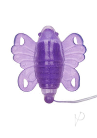 Venus Butterfly Ii Purple