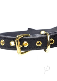 Ms Golden Kitty Collar Black/gold