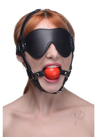 Strict Blindfold Harness W/gag