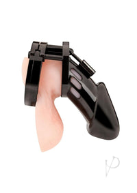 Acrylic See Thru Chastity Cage Black