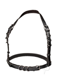 Euphoria Coll Halter Buckle Harness