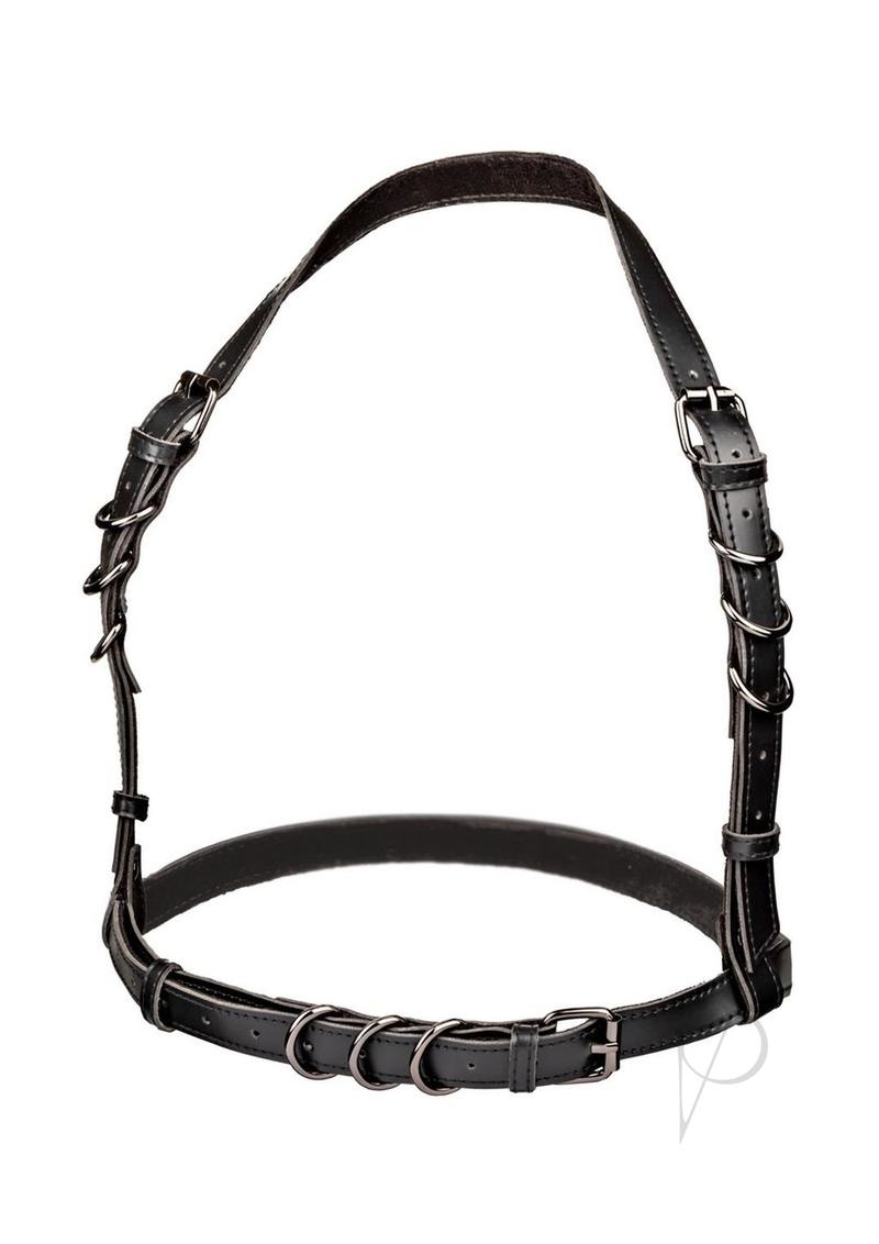 Euphoria Coll Halter Buckle Harness