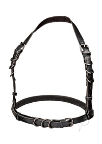 Euphoria Coll Ps Halter Buckle Harness
