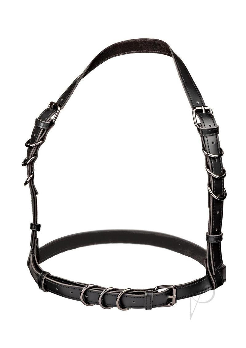 Euphoria Coll Ps Halter Buckle Harness