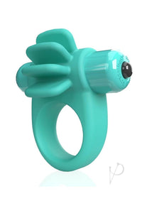 4t Skooch Kiwi