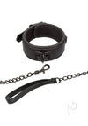 Nocturnal Coll Collar Leash