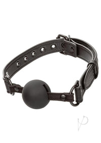 Nocturnal Ball Gag