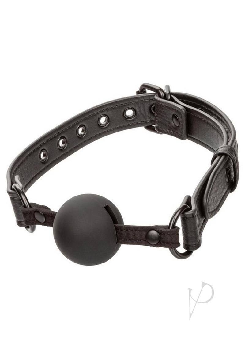 Nocturnal Ball Gag