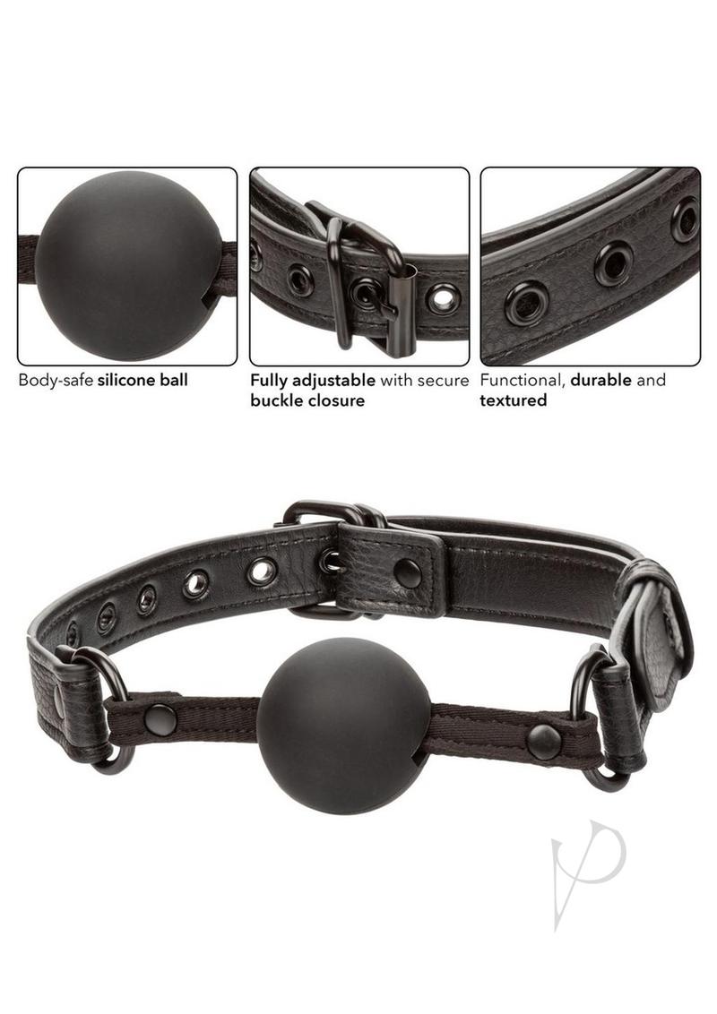 Nocturnal Ball Gag