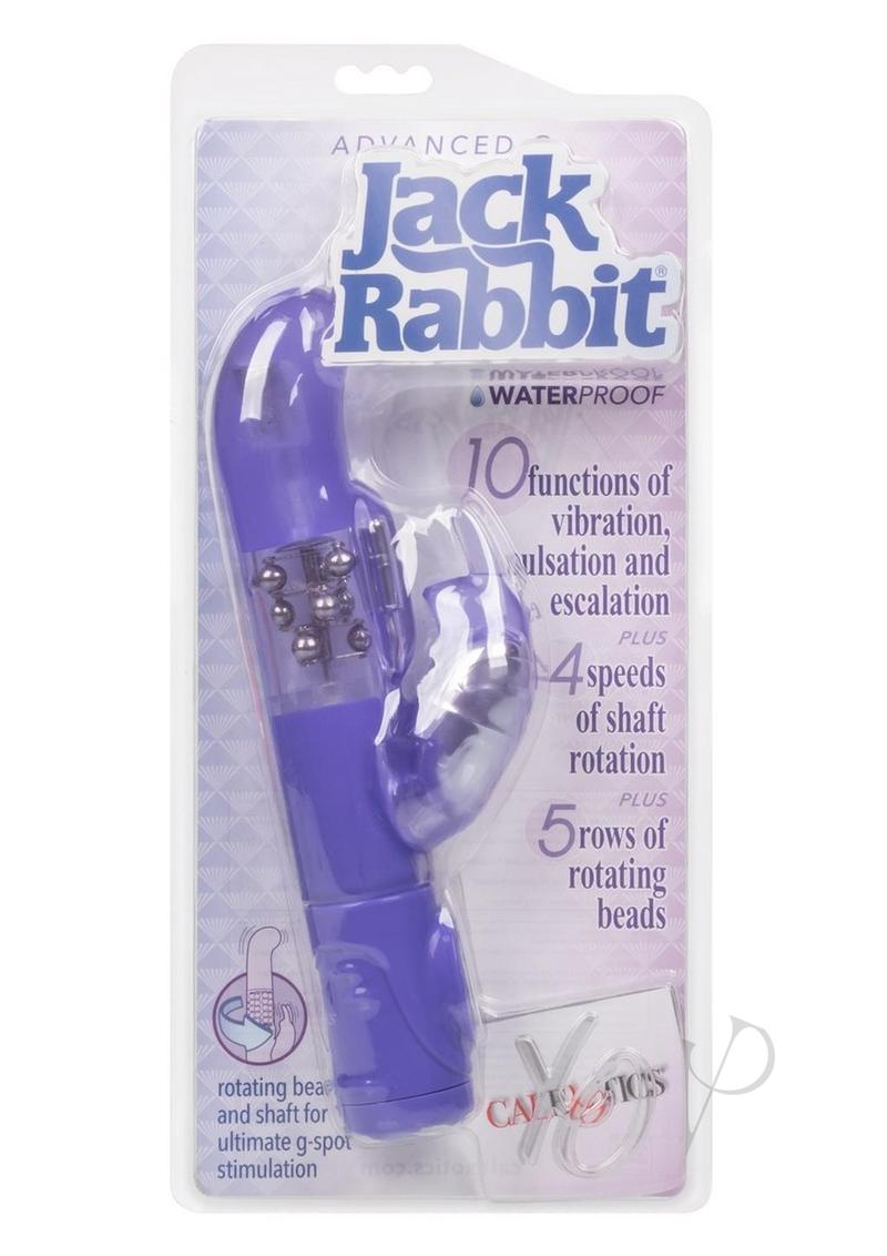 Advanced G Jack Rabbit Purple