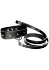 Leather Leash and Collar