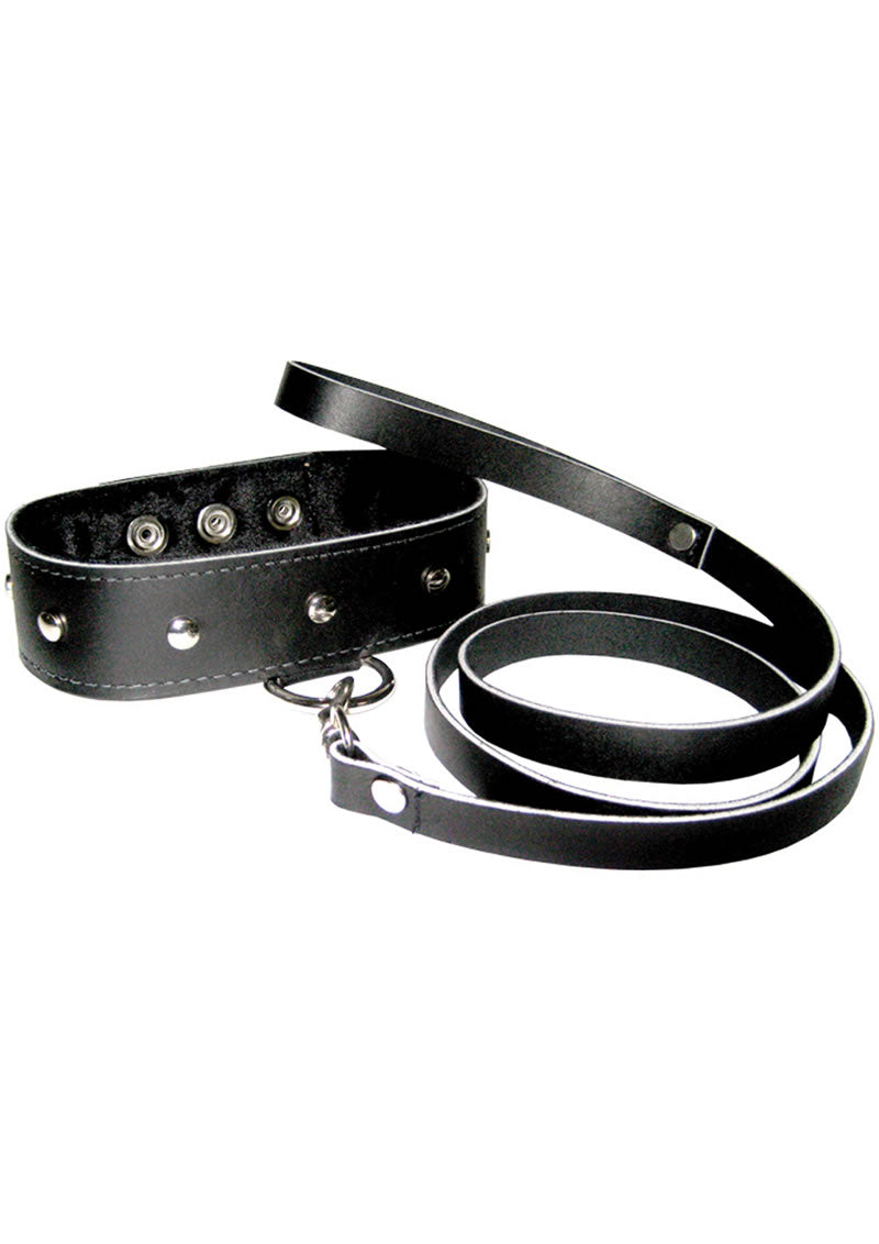 Leather Leash and Collar