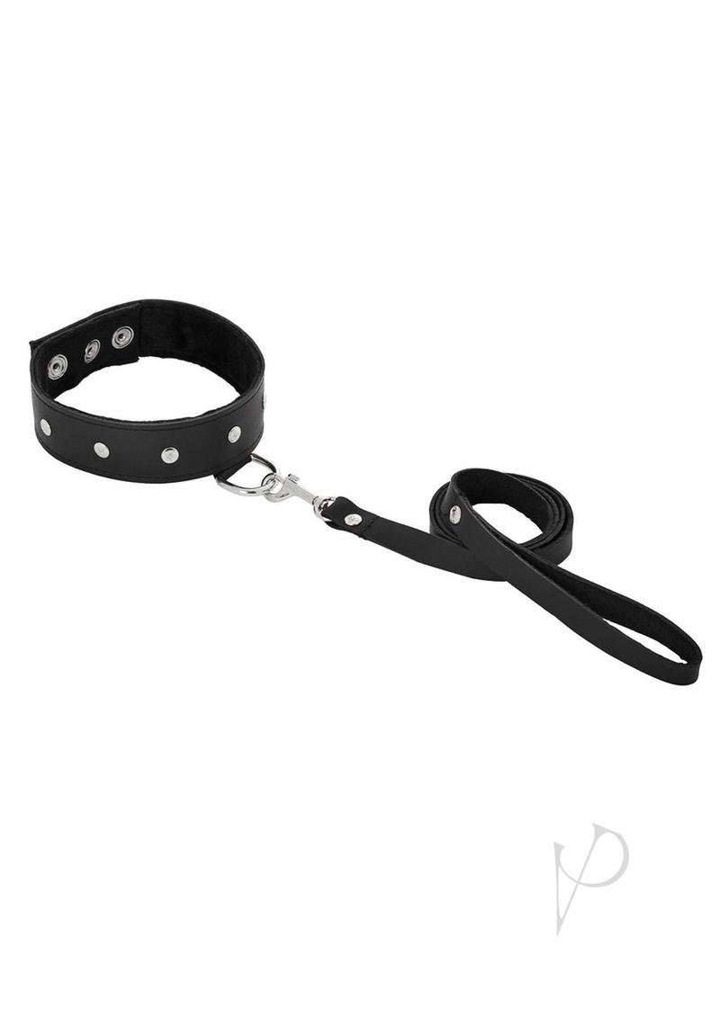 Leather Leash and Collar