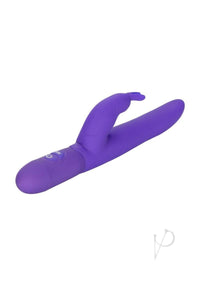 Posh 10 Function Bounding Bunny Purple