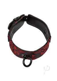 Scandal Collar With Leash