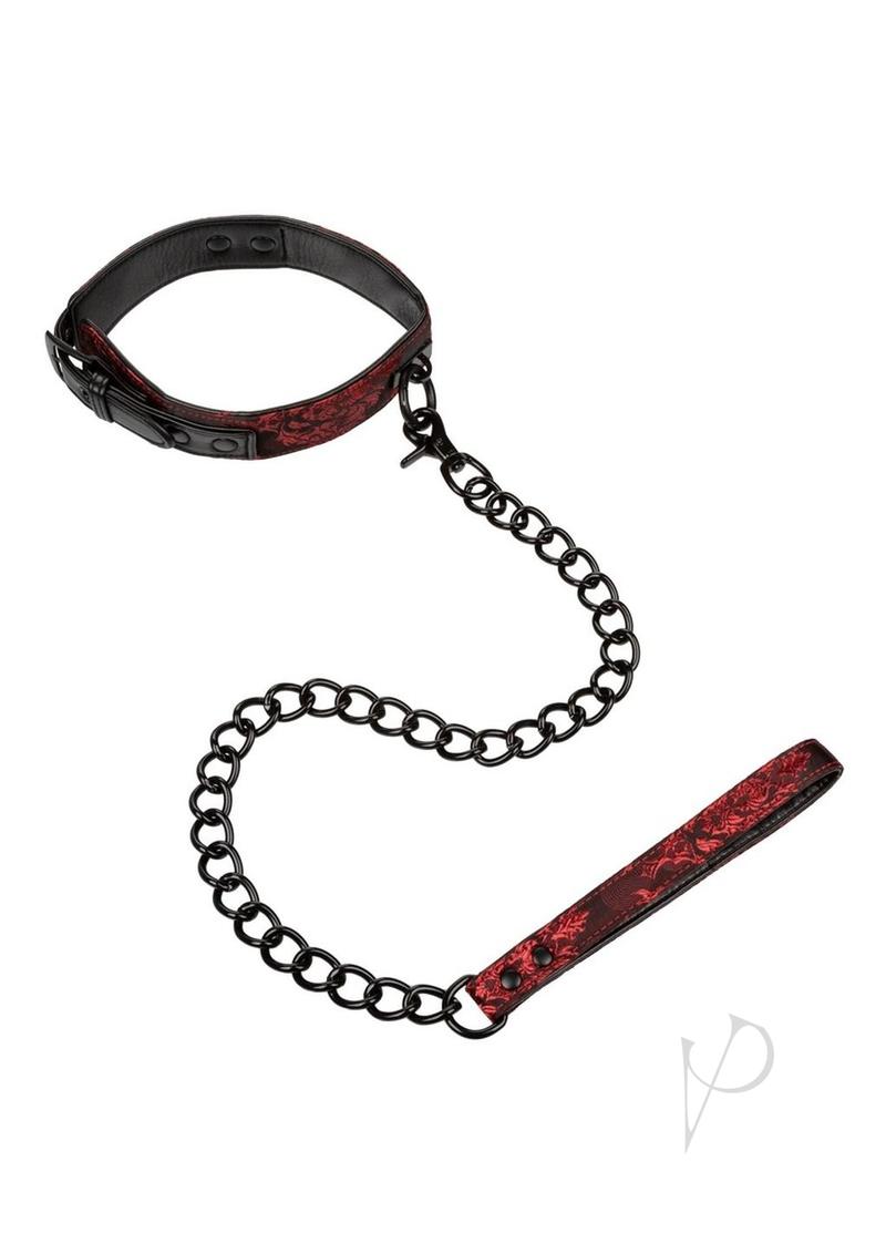 Scandal Collar With Leash