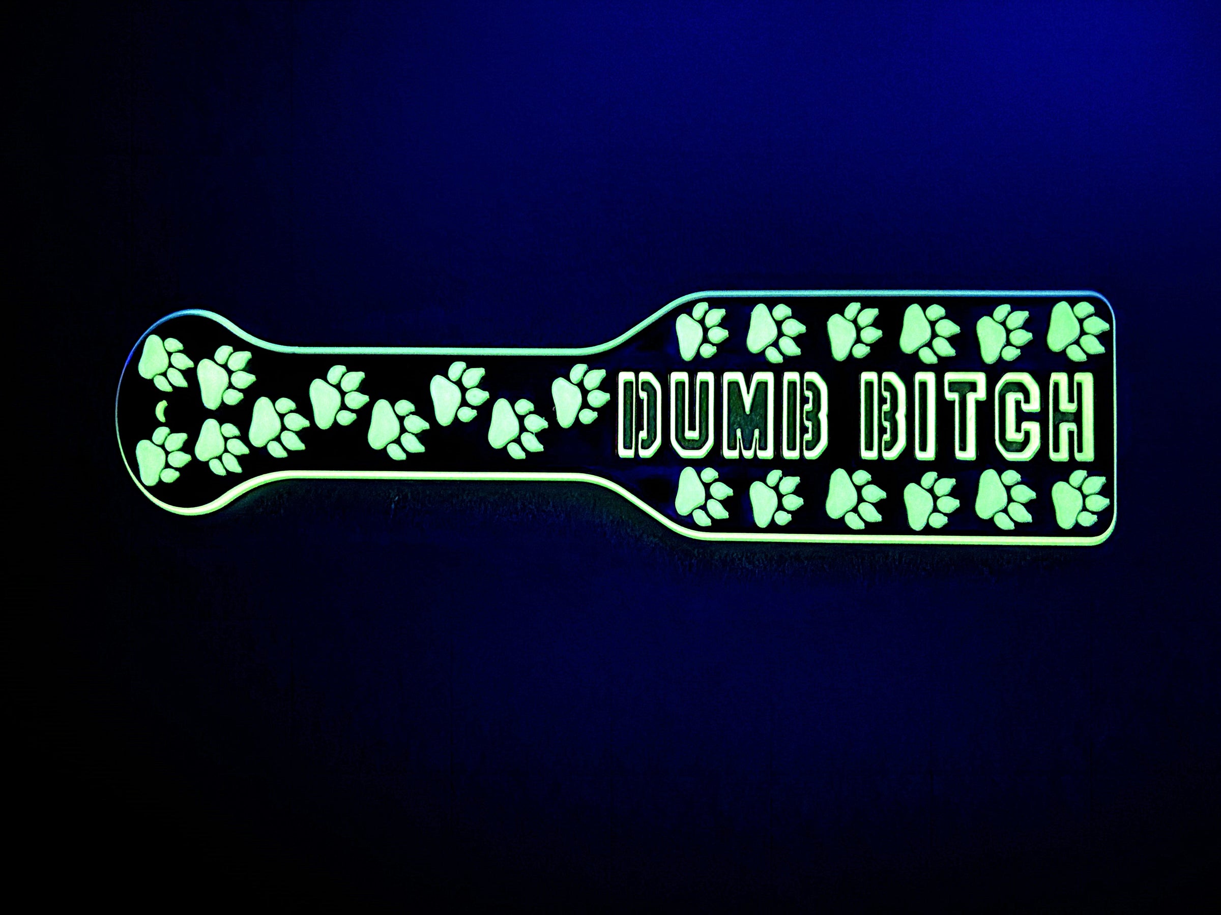 3D Printed Spanking Paddle DUMB BITCH Black and Glow in the Dark