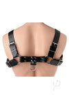 English Bull Dog Harness