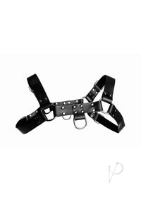 English Bull Dog Harness