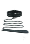 Sincerely Lace Collar And Leash