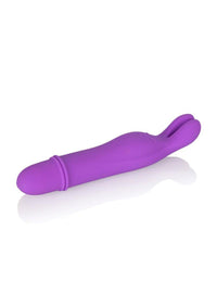 Shanes World Bedtime Bunny Purple