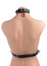 Strict Female Chest Harness Small
