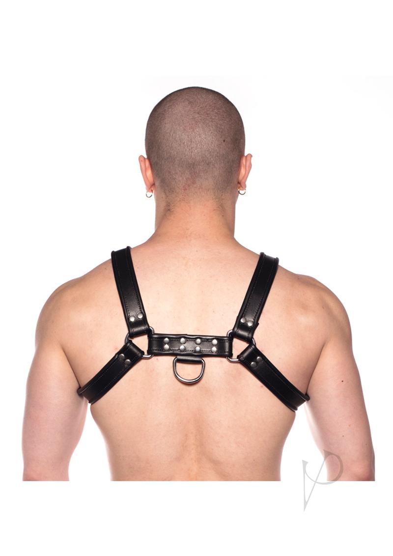 Prowler Red Bull Harness Black Md