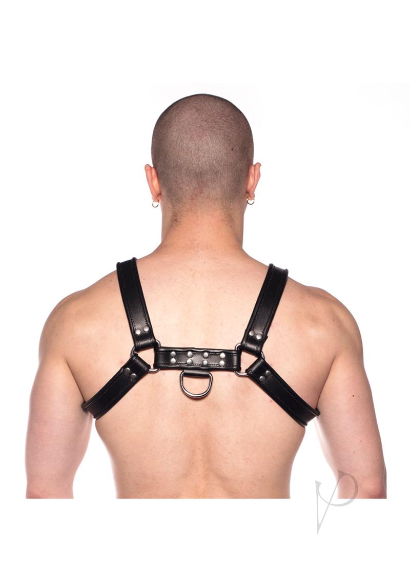 Prowler Red Bull Harness Black Xl