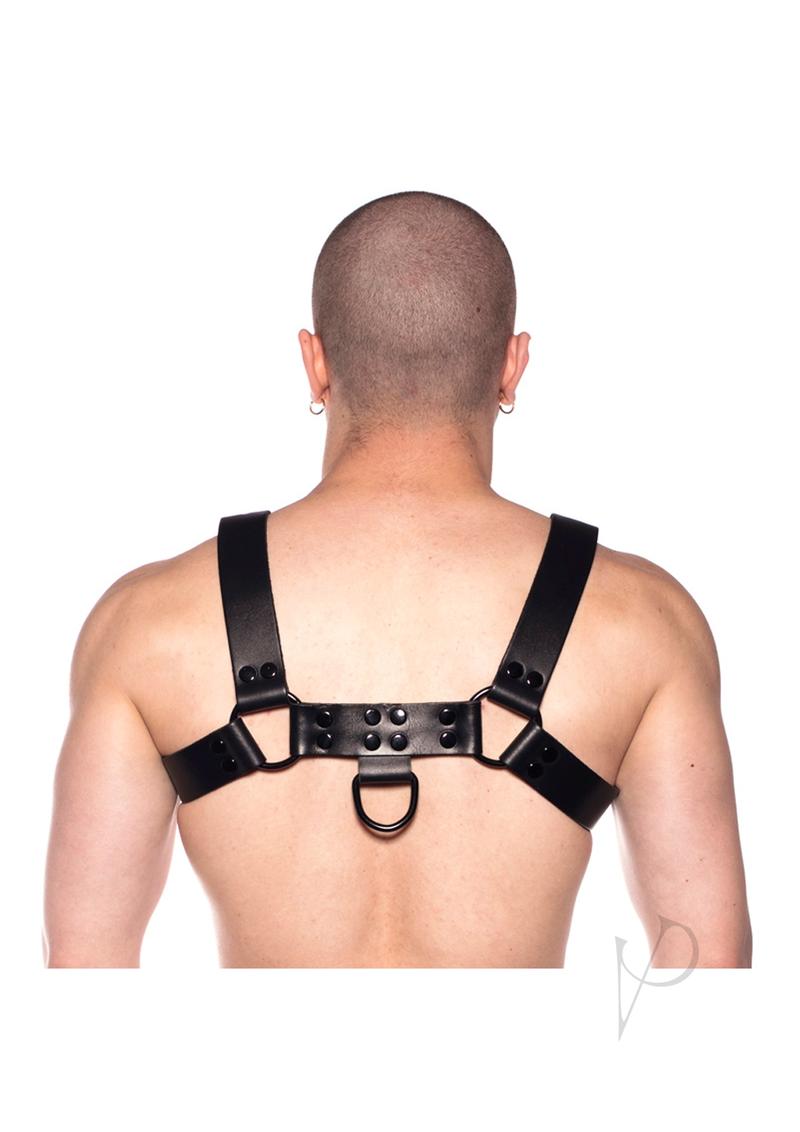 Prowler Red Noir Harness Blk Lg