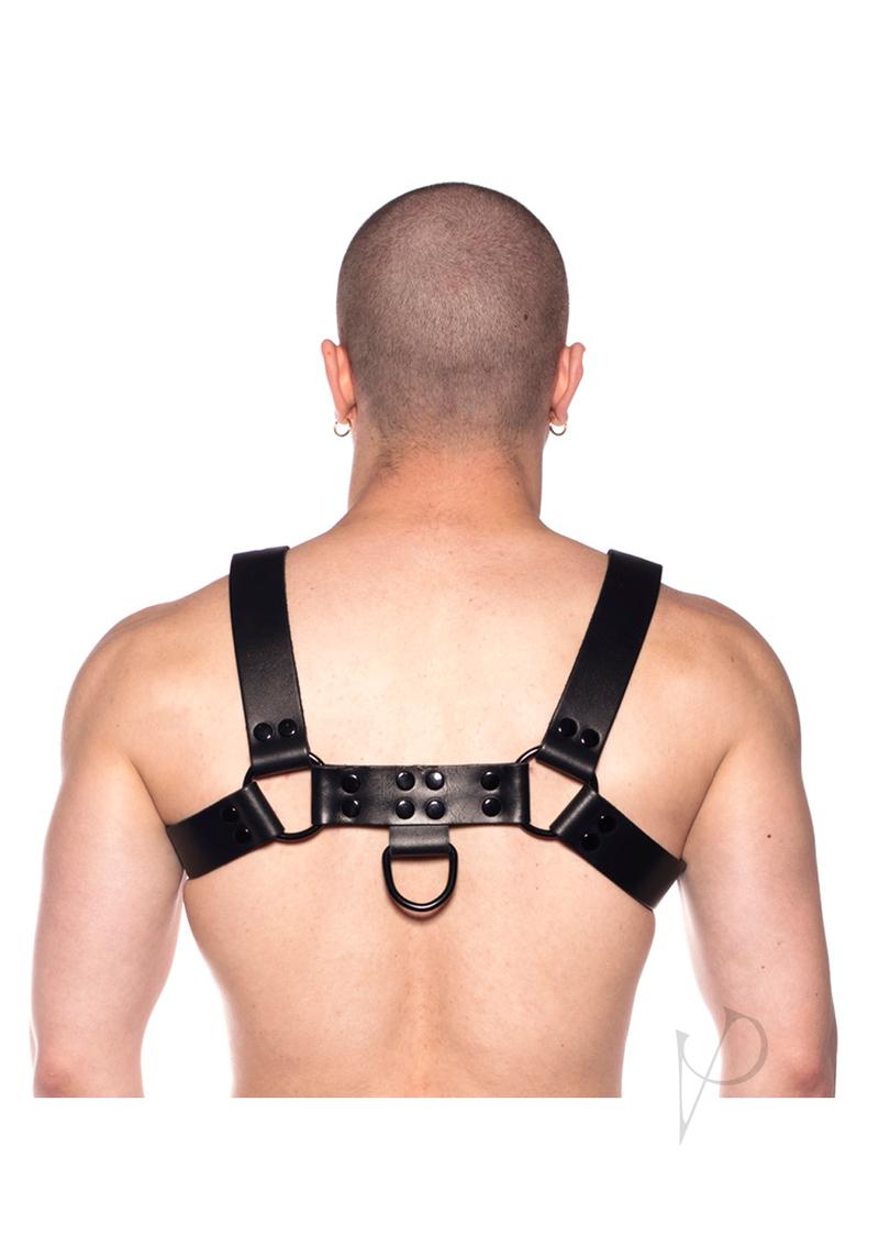 Prowler Red Noir Harness Blk Md