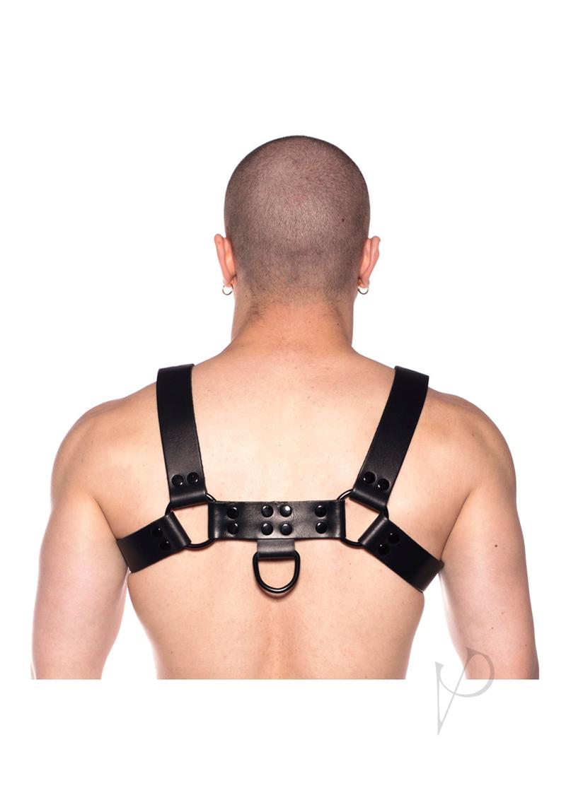 Prowler Red Noir Harness Blk Sm