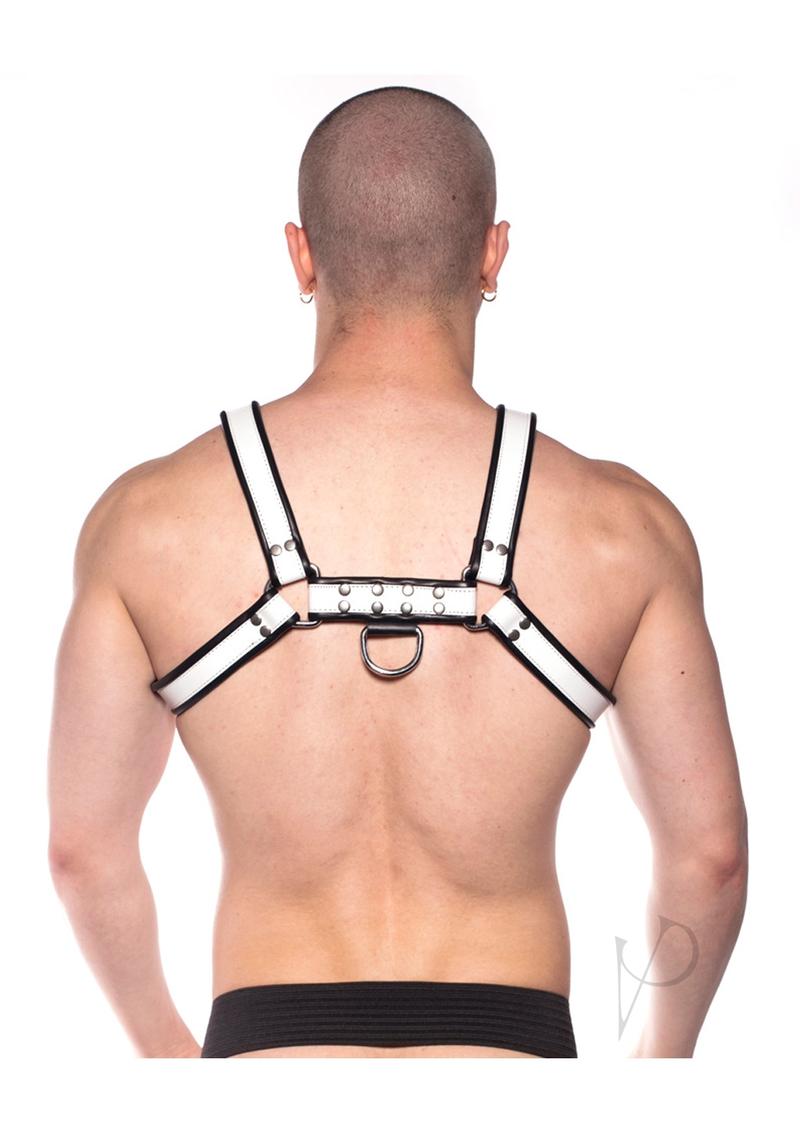 Prowler Red Bull Harness Bk/wht Xl(disc)