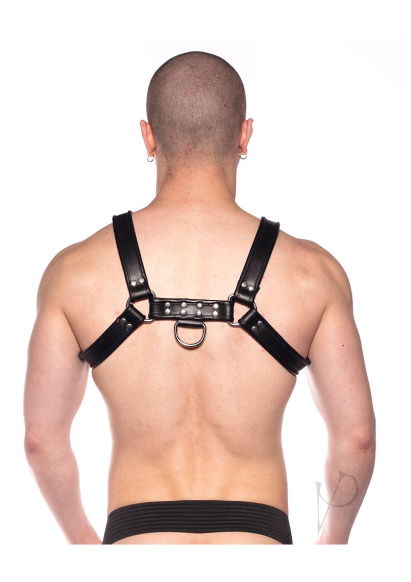 Prowler Red Bull Harness Blk Xxlg