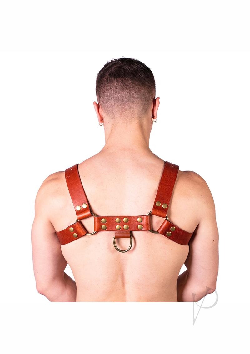 Prowler Red Butch Harness Brn/brs Xl