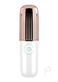 Satisfyer Secret Affair(disc)