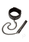 Boundless Collar and Leash Black