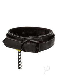 Boundless Collar and Leash Black