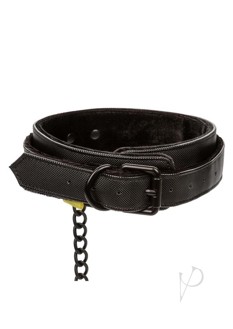 Boundless Collar and Leash Black