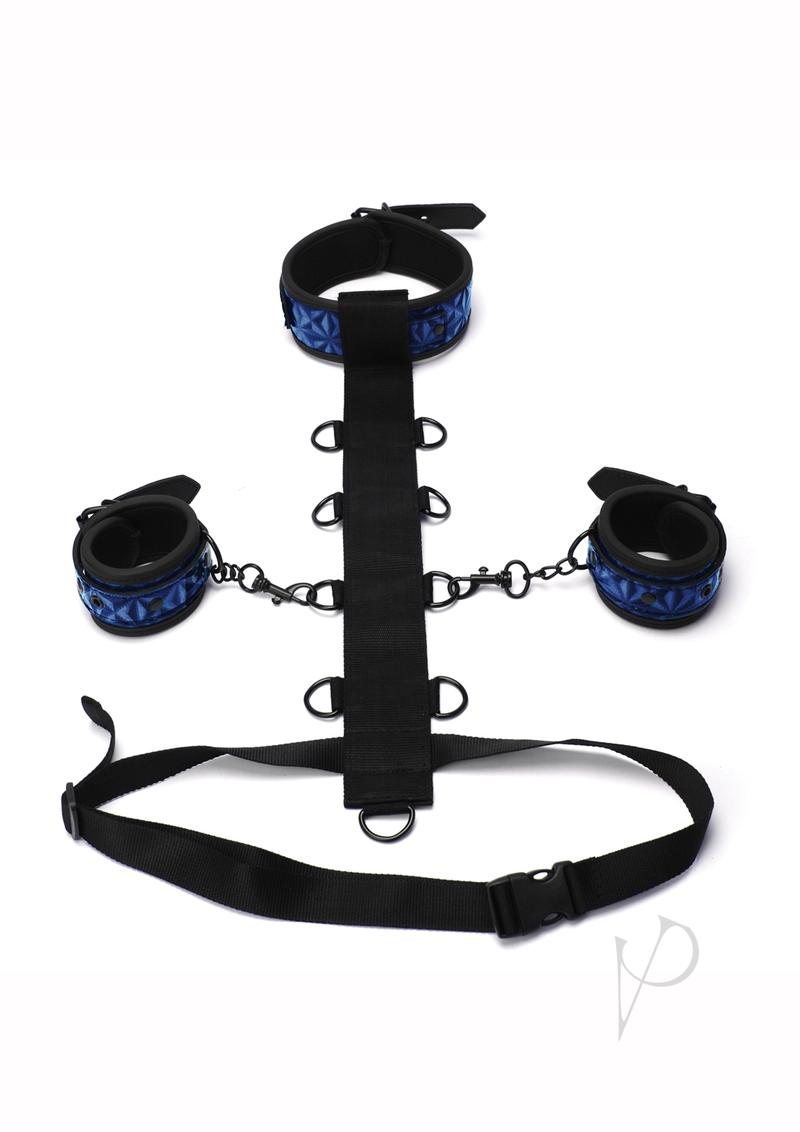 Body Harness Restraint Blue