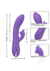 Insatiable G Inflatable G Flutter Purple