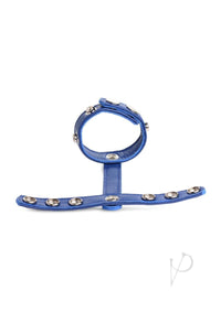 Cg Leather Snap-on Harness Blue