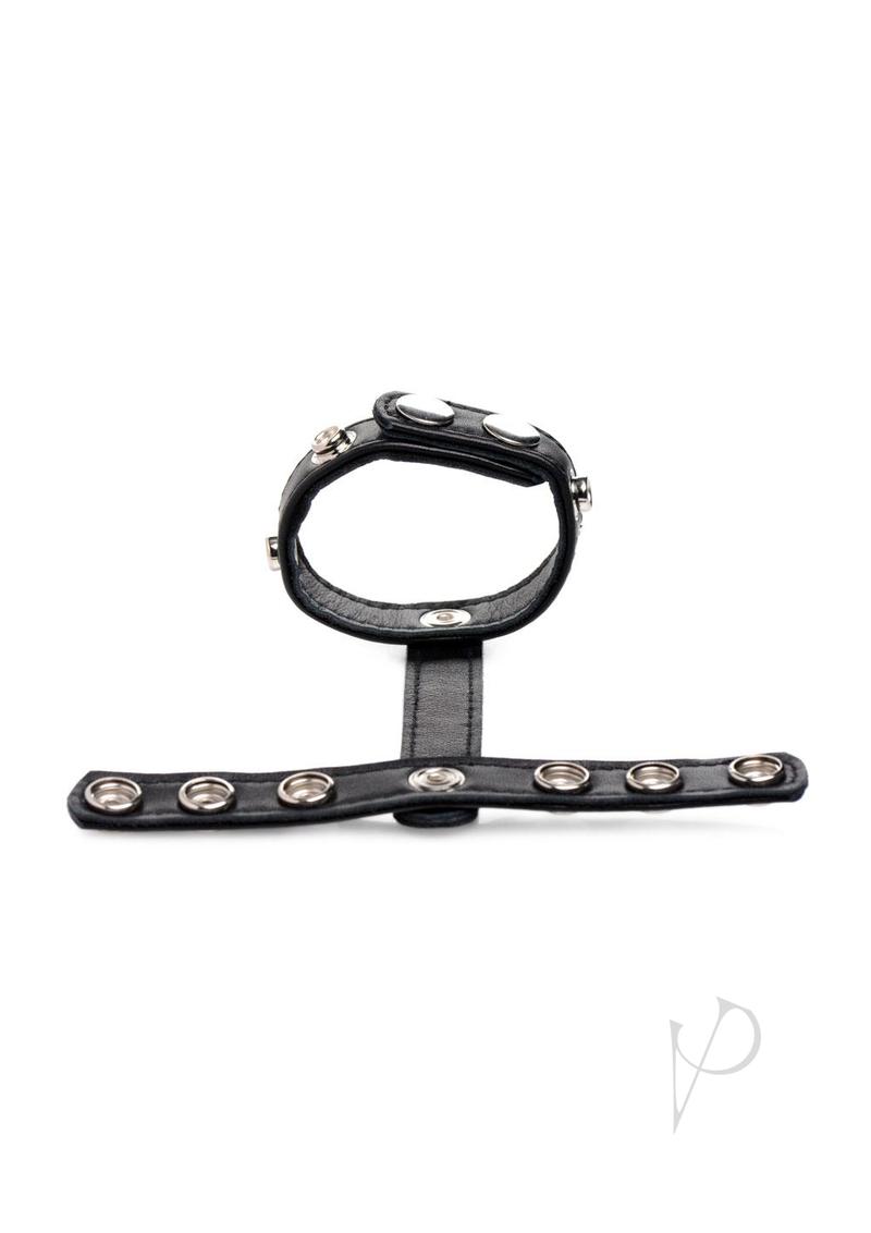 Cg Leather Snap-on Harness Black