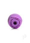 Gossip Rose Flirt Purple