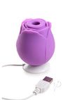Gossip Rose Flirt Purple